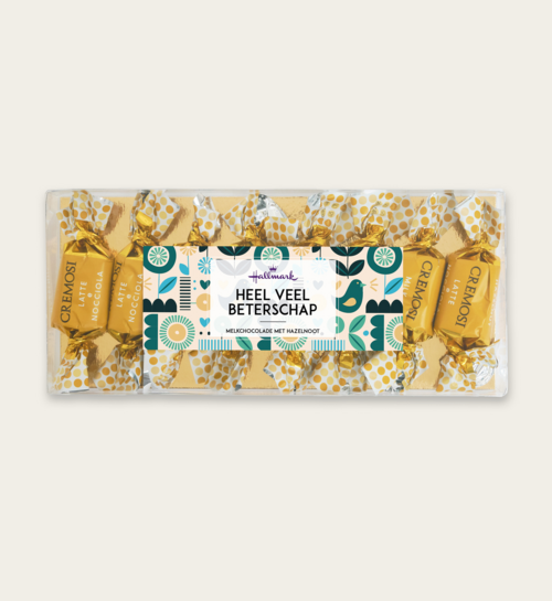 Melkchocolade Hazelnoot Pralines Heel Veel Beterschap