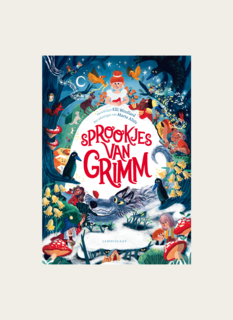 Boek Sprookjes van Grimm