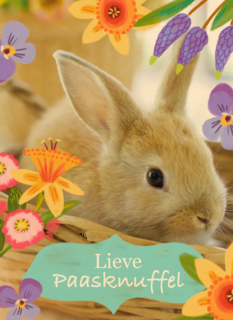 Lieve paasknuffel