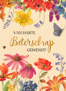 beterschapskaart van harte beterschap gewenst