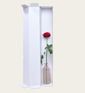 Single Roos Rood Met Vaas 
