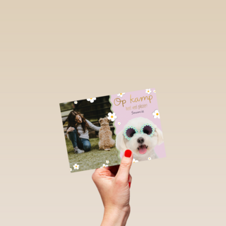 Op kamp heel veel plezier roze hond fotokaart