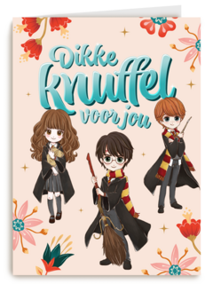 Vriendschapkaart Dikke knuffel Harry Potter
