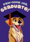 Folio Pawsome Job Graduate
