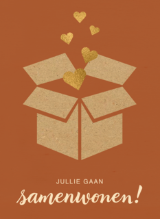 samenwonen kaart doos met liefde