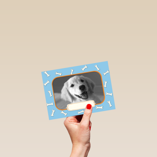 fotokaart met groetjes van onze hond
