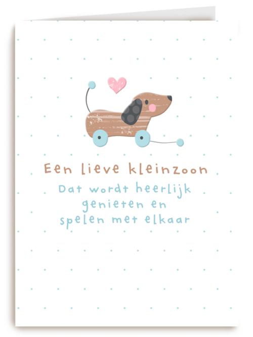 geboorte kleinzoon een lieve kleinzoon