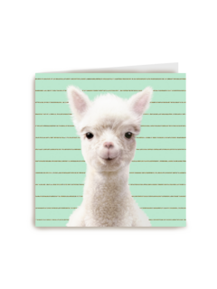 Blanco kaart alpaca