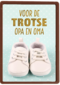 schoentjes voor een trotse opa en oma