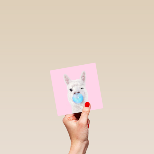 Verjaardagskaart tiener grappig Alpaca met kauwgum