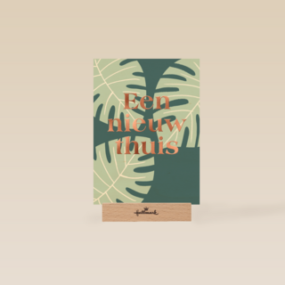 een nieuw huis met palmbladeren