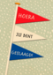 geslaagd kaart nederlandse vlaggetjes