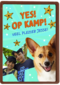 Op kamp corgi