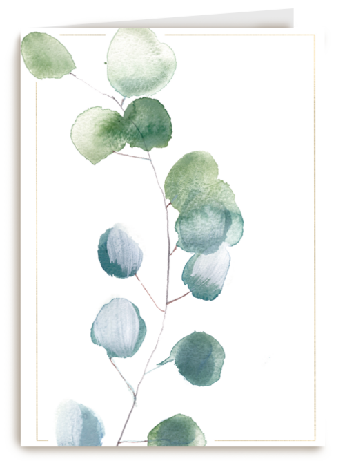 blanco condoleancekaart met plant