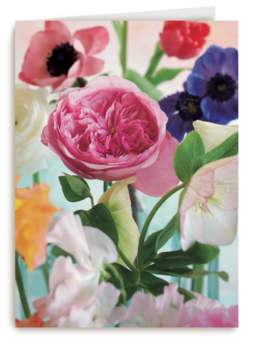 bloem bloemen