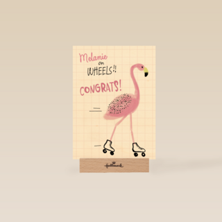 rijbewijs geslaagd on wheels congrats