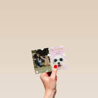 Op kamp heel veel plezier roze hond fotokaart