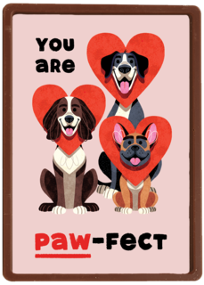 Folio You Are Pawfect