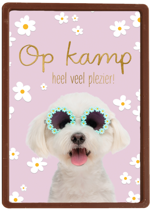 Hond op kamp