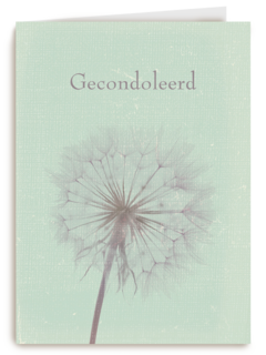 gecondoleerd paardenbloem