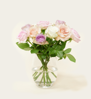 Brievenbusbloemen Pastel Crush
