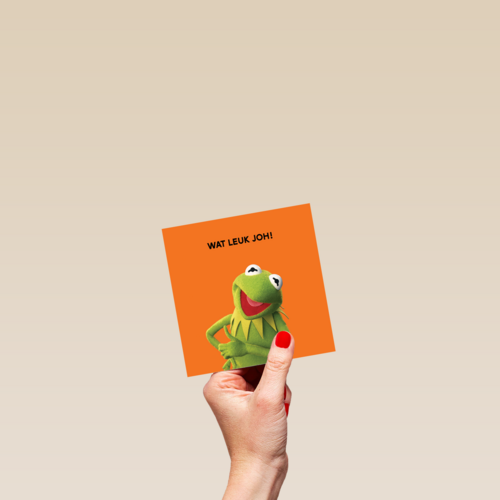 Wat leuk joh The Muppets