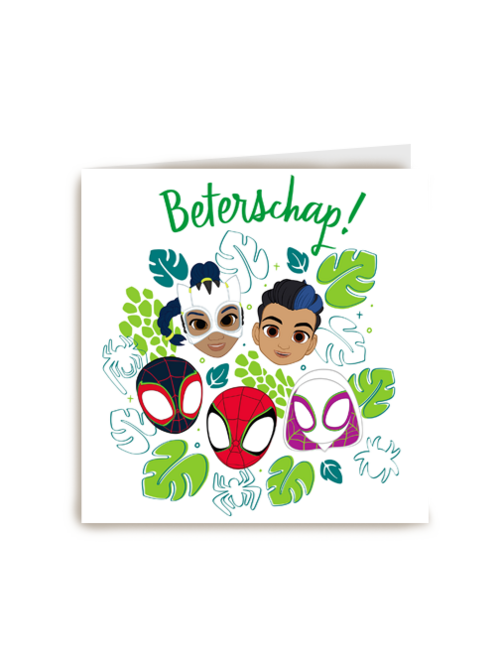 Spidey and friends Beterschap