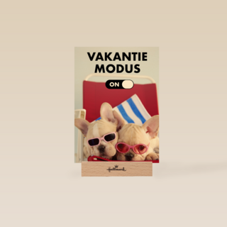 vakantiemodus aan staykation