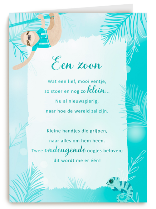 Babykaart zoon More than words