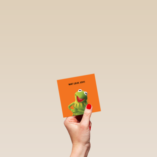 Wat leuk joh The Muppets