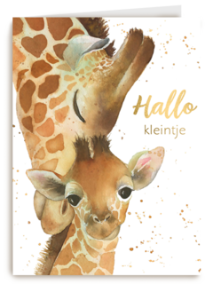 geboorte hallo kleintje giraffe