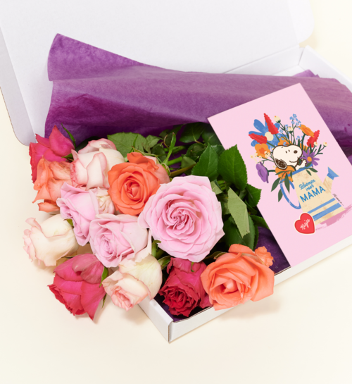 Brievenbusbloemen Rozen Pretty Pink