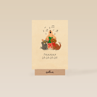 Pretty Cute Falalala