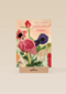 bloemen roze en paars