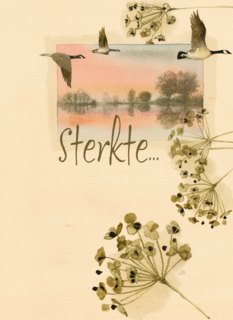 sterkte met dit verlies