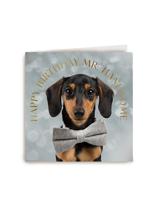 Happy birthday mr handsome