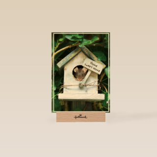 Verhuisd muis huisje