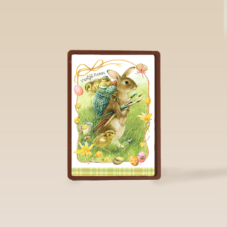 Konijn in de natuur marjolein bastin