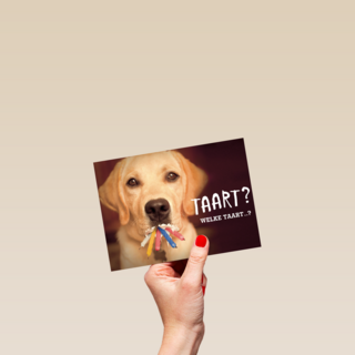 animal fiesta taart welke taart