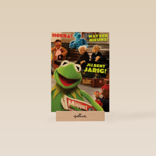kermit de kikker met de krant