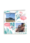 fotokaart groetjes uit flamingos