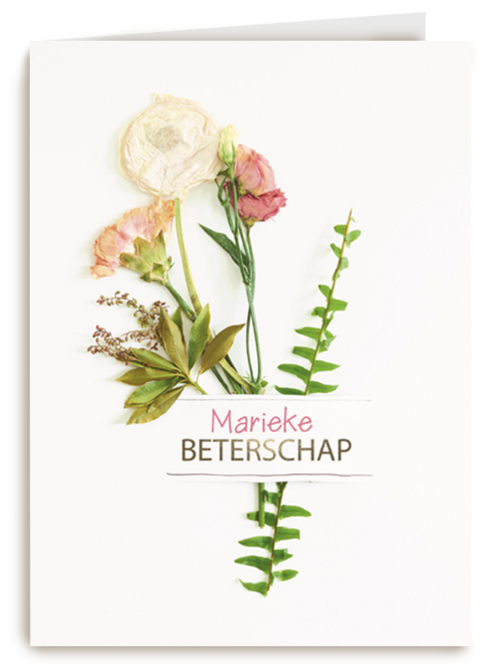 botanical kaart beterschap met een bloemetje