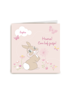 disney baby hoera een lief zusje