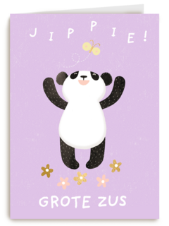 geboorte zusje jippie grote zus