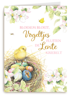 Paaskaart Marjolein Bastin Vogeltjes fluiten