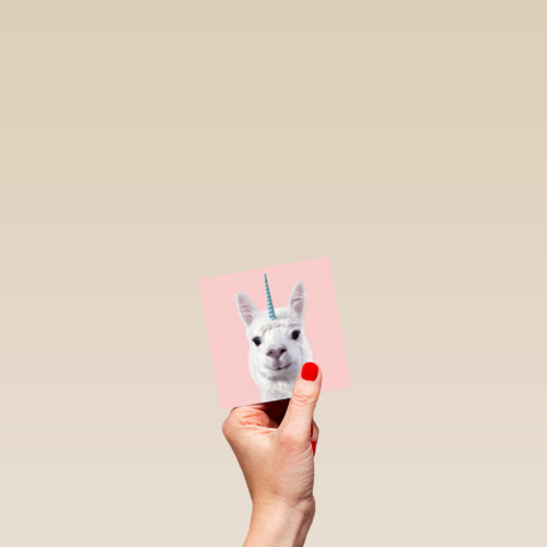 unicorn lama