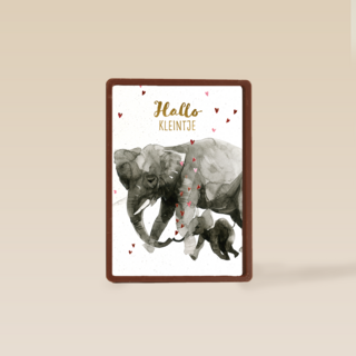 Geboortefelicitatie olifant hallo kleintje