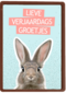 een konijntje voor je verjaardag