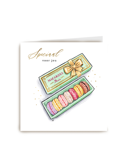 Anna Wijnands Speciaal Macarons