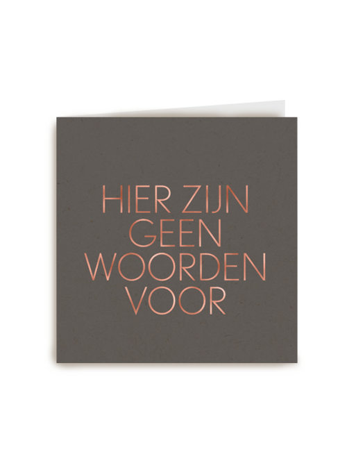 hier zijn geen woorden voor